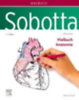 Kretz, Oliver: Sobotta Malbuch Anatomie idegen