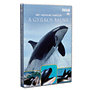 BBC Vadvilág sorozat - A gyilkos bálna DVD