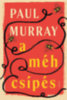 Paul Murray OP: A méhcsípés könyv
