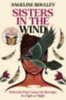 Boulley, Angeline: Sisters in the Wind idegen