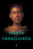 Hanya Yanagihara: A paradicsomba könyv