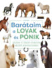 Barátaim, a lovak és pónik könyv