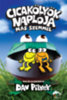 Dav Pilkey: Cicakölyök naplója - Más szemmel könyv