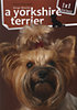 Varga Monika: A yorkshire terrier - 1x1 kalauz könyv