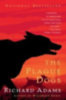 Adams, Richard: The Plague Dogs idegen