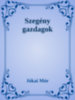 Jókai Mór: Szegény gazdagok e-Könyv
