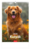 Kutyák falinaptár 22x33 cm - 2026 naptár