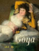 Francisco de Goya idegen