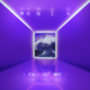 Fall Out Boy: Mania - CD CD