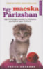 Peter Gethers: Egy macska Párizsban könyv
