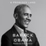 Obama, Barack: A Promised Land idegen