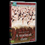 A madarak élete 3. - DVD DVD