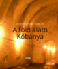 Mednyánszky Miklós: A föld alatti Kőbánya könyv