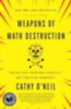 O'Neil, Cathy: Weapons of Math Destruction idegen