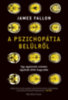 James Fallon: A pszichopátia belülről - Egy agykutató utazása agyának sötét bugyraiba e-Könyv
