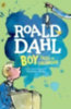 Dahl, Roald: Boy idegen