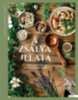 Janits-Szabó Virág: A zsálya illata könyv