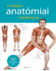 A nyújtás anatómiai kézikönyve könyv