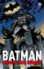 Lapham, David - Bachs, Ramon: Batman: Stadt der Sünde idegen