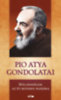Pio atya: Pio atya gondolatai könyv