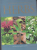 Jenny Linford: A pocket guide to herbs antikvár
