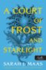 Sarah J. Maas: A Court of Frost and Starlight - Fagy és csillagfény udvara könyv