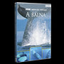 BBC Vadvilág sorozat - A bálna DVD