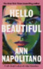 Napolitano, Ann: Hello Beautiful idegen