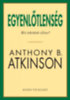 Anthony B. Atkinson: Egyenlőtlenség e-Könyv
