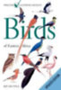Perlo, Ber van: Birds of Eastern Africa idegen