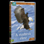 A madarak élete - 2. DVD DVD
