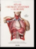 Le Minor, Jean-Marie - Sick, Henri: Bourgery. Atlas of Human Anatomy and Surgery idegen