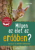Holger Haag: Milyen az élet az erdőben? könyv