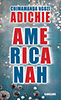 Chimamanda Ngozi Adichie: Americanah könyv