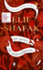 Elif Shafak: 10 perc 38 másodperc könyv