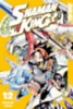 Takei, Hiroyuki: Shaman King 12 idegen
