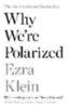 Klein, Ezra: Why We're Polarized idegen
