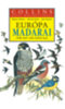 Henzel,Hermann-Fitter,Richard: Európa madarai (Collins képes madárhatározó) könyv
