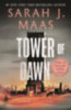 Maas, Sarah J.: Tower of Dawn idegen