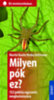 Heiko Bellmann; Martin Baehr: Milyen pók ez? könyv