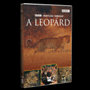 BBC Vadvilág sorozat – A leopárd DVD