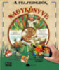 A felfedezők nagykönyve könyv