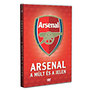 Arsenal - DVD sport