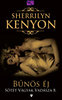 Sherrilyn Kenyon: Bűnös éj e-Könyv