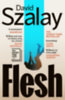 Szalay David: Flesh idegen