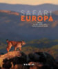 Petrich, Martin H.: KUNTH Bildband Safari Europa idegen