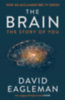 David Eagleman: The Brain idegen