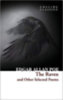 Edgar Allan Poe: The Raven and Other Selected Poems idegen
