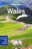 Dragicevich, Peter - Kaminski, Anna - Walker, Kerry: Wales idegen