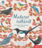 Lauren Fairgrieve: Madarat tolláról - 10 madármodell részletes ismertetővel könyv